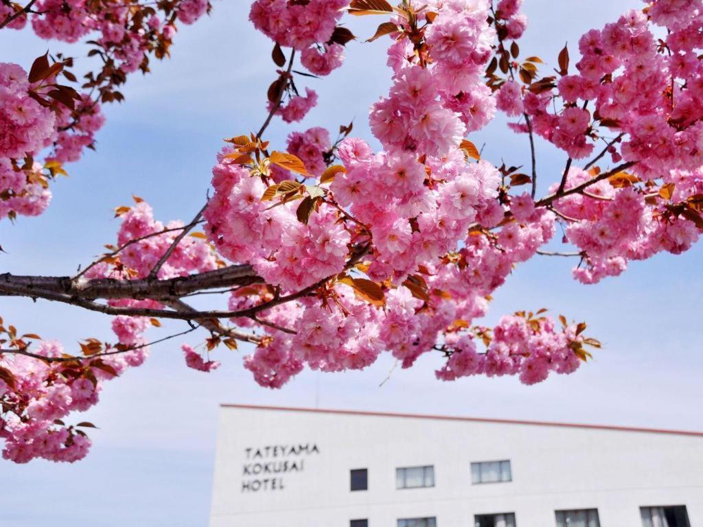 Tateyama Kokusai Hotel Toyama Station Eksteriør billede